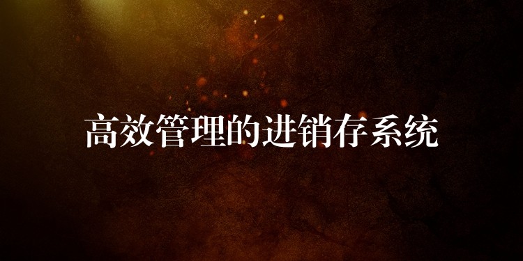 高效管理的进销存系统