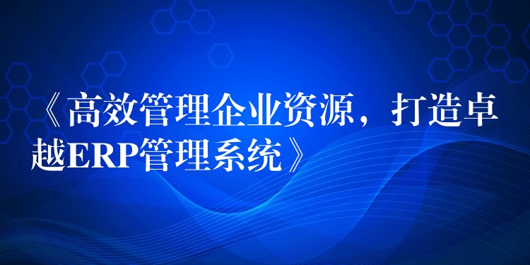 《高效管理企业资源，打造卓越ERP管理系统》