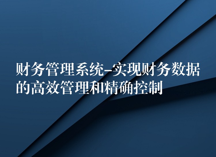 财务管理系统-实现财务数据的高效管理和精确控制