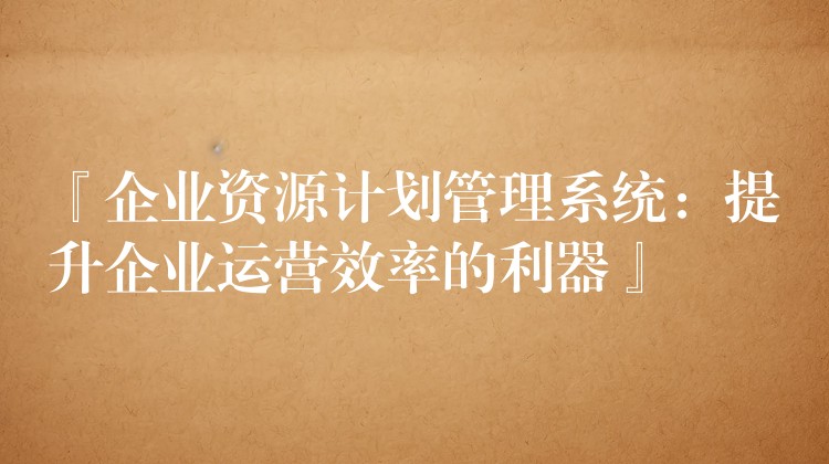『企业资源计划管理系统：提升企业运营效率的利器』