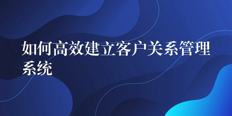 如何高效建立客户关系管理系统
