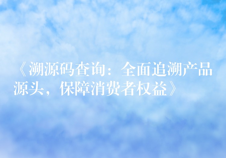 《溯源码查询：全面追溯产品源头，保障消费者权益》