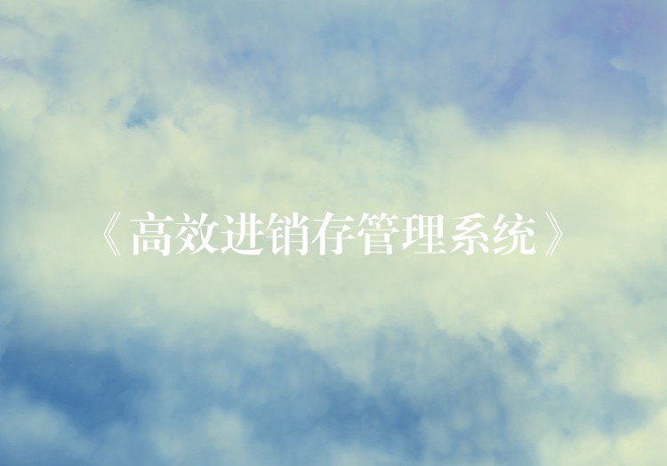 《高效进销存管理系统》