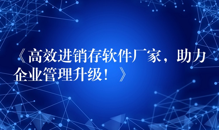 《高效进销存软件厂家，助力企业管理升级！》