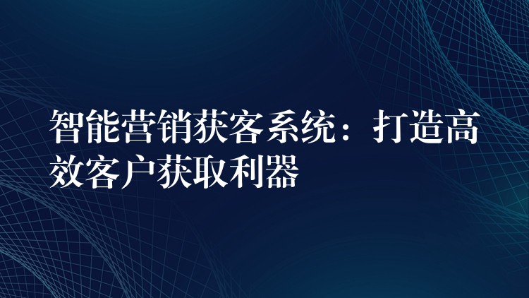 智能营销获客系统：打造高效客户获取利器
