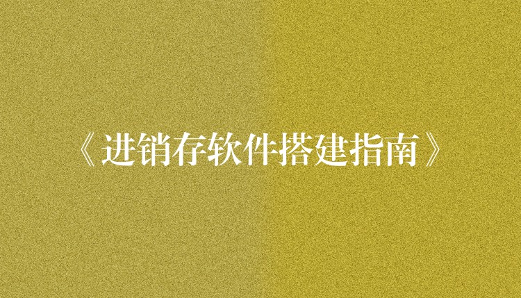 《进销存软件搭建指南》