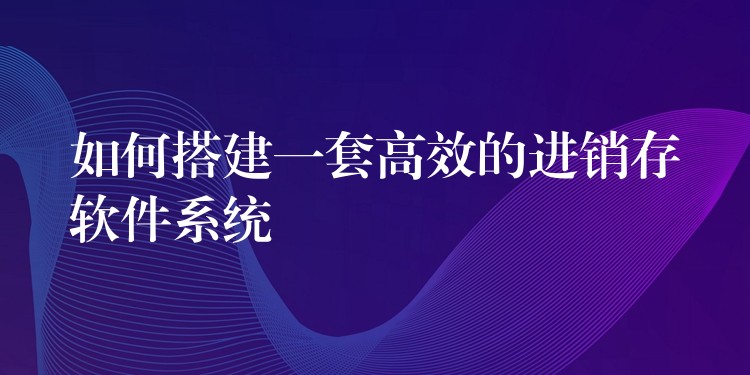 如何搭建一套高效的进销存软件系统