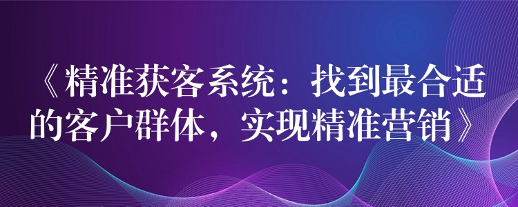 《精准获客系统：找到最合适的客户群体，实现精准营销》