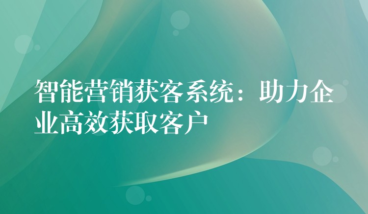 智能营销获客系统：助力企业高效获取客户