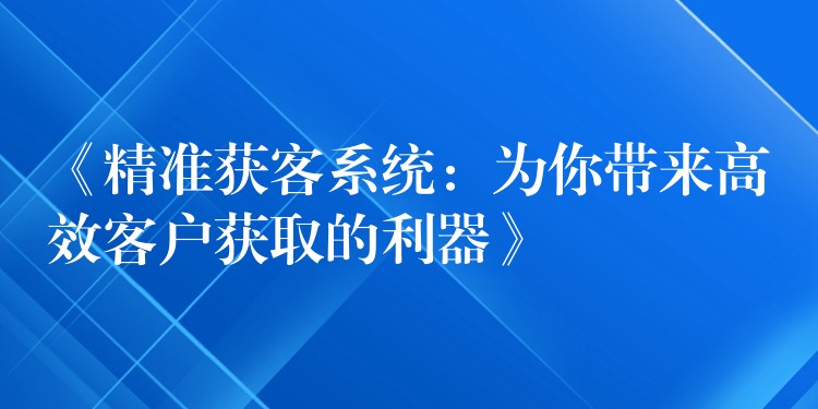 《精准获客系统：为你带来高效客户获取的利器》