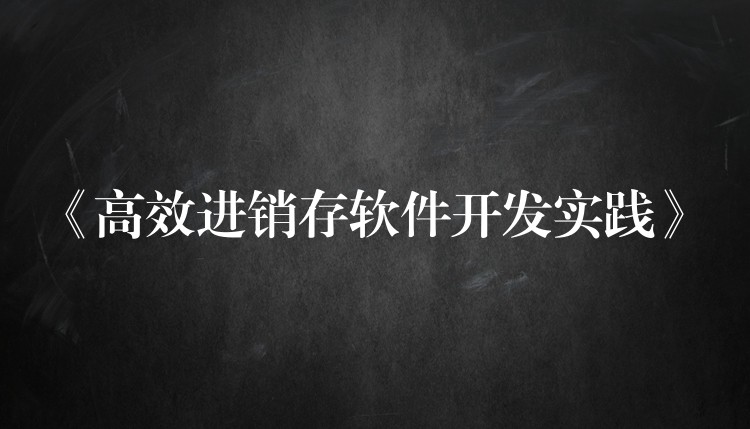 《高效进销存软件开发实践》