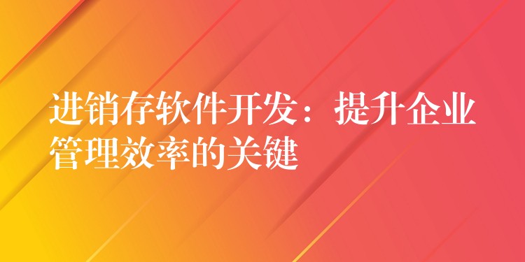 进销存软件开发：提升企业管理效率的关键