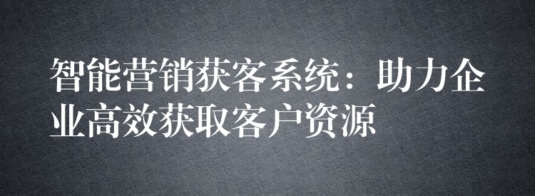 智能营销获客系统：助力企业高效获取客户资源