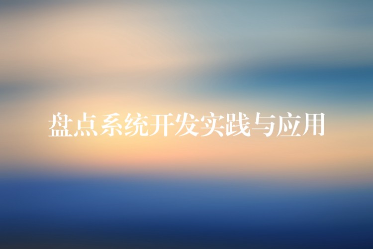 盘点系统开发实践与应用