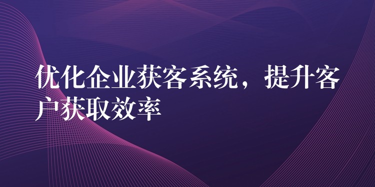 优化企业获客系统，提升客户获取效率