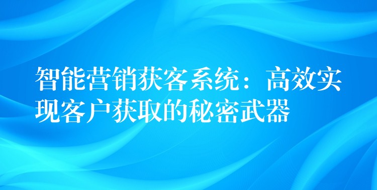 智能营销获客系统：高效实现客户获取的秘密武器