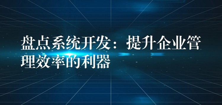 盘点系统开发：提升企业管理效率的利器