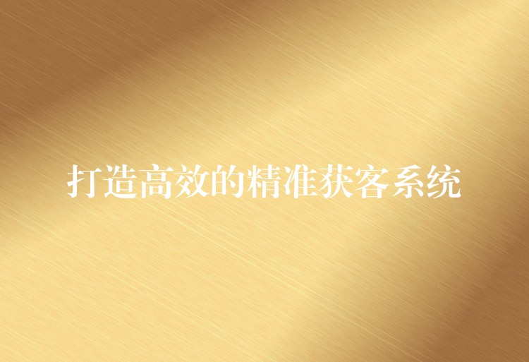 打造高效的精准获客系统