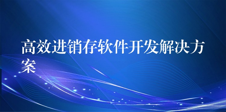 高效进销存软件开发解决方案