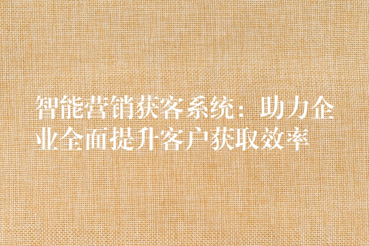 智能营销获客系统：助力企业全面提升客户获取效率