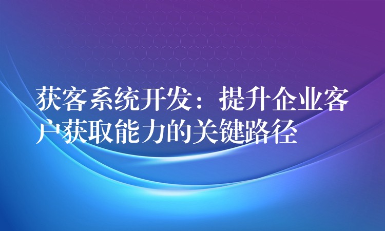 获客系统开发：提升企业客户获取能力的关键路径