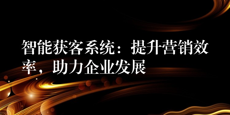 智能获客系统：提升营销效率，助力企业发展
