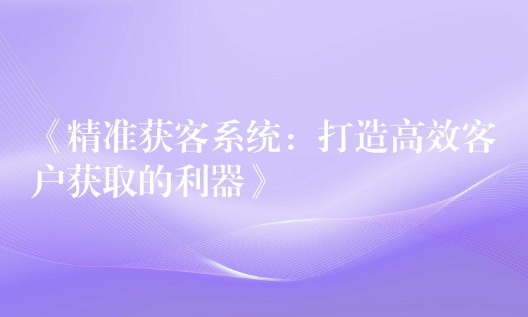 《精准获客系统：打造高效客户获取的利器》
