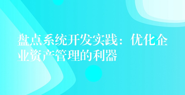 盘点系统开发实践：优化企业资产管理的利器