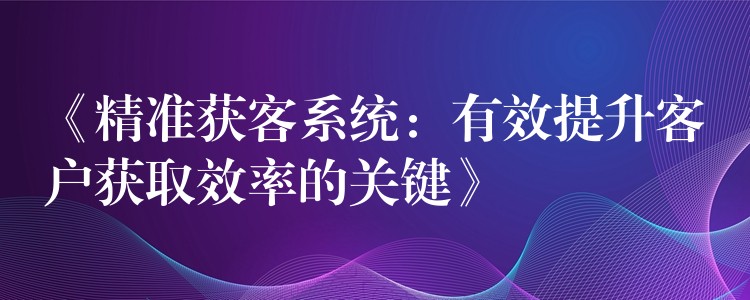 《精准获客系统：有效提升客户获取效率的关键》