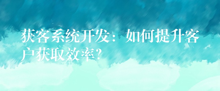 获客系统开发：如何提升客户获取效率？