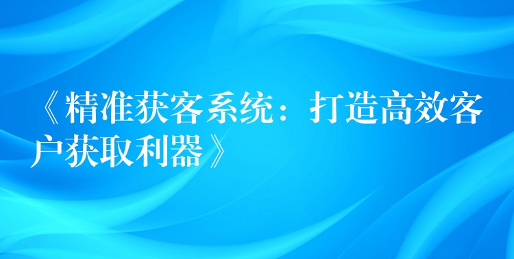 《精准获客系统：打造高效客户获取利器》