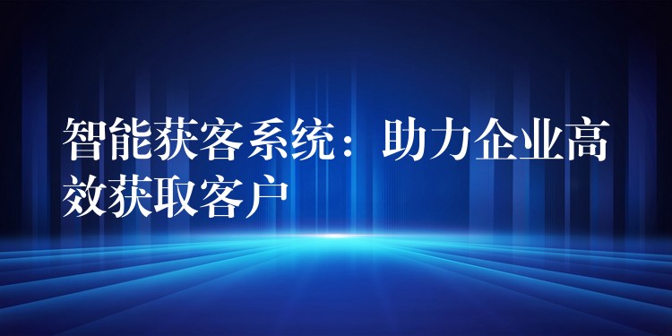 智能获客系统：助力企业高效获取客户