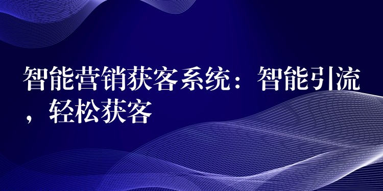 智能营销获客系统：智能引流，轻松获客