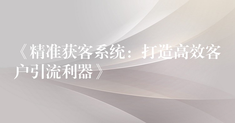 《精准获客系统：打造高效客户引流利器》