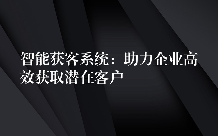 智能获客系统：助力企业高效获取潜在客户