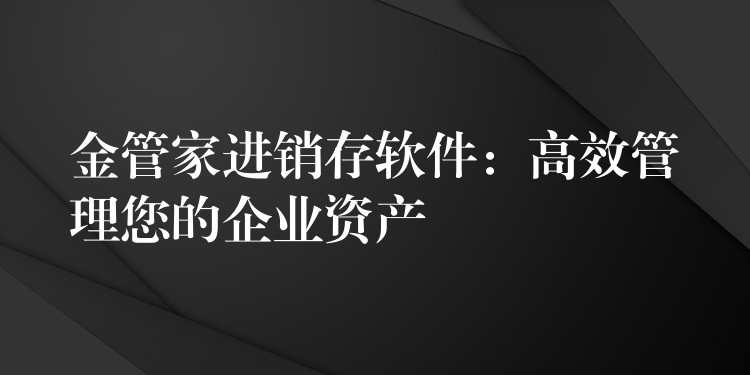 金管家进销存软件：高效管理您的企业资产