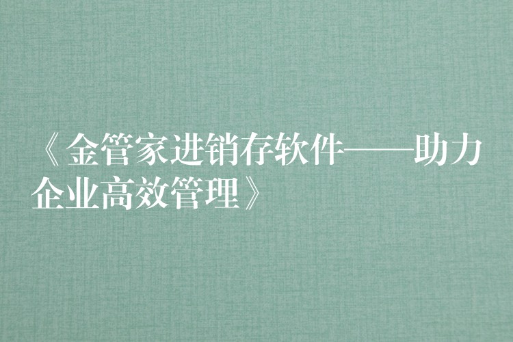 《金管家进销存软件——助力企业高效管理》
