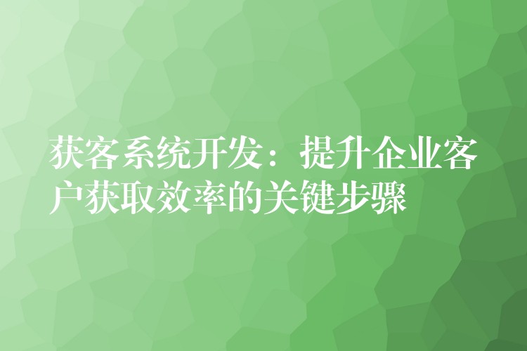 获客系统开发：提升企业客户获取效率的关键步骤