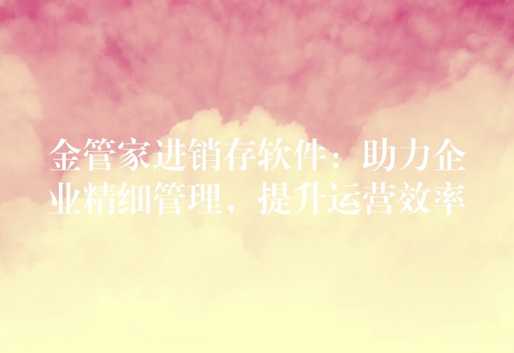 金管家进销存软件：助力企业精细管理，提升运营效率