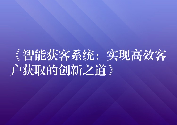 《智能获客系统：实现高效客户获取的创新之道》
