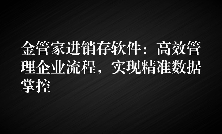 金管家进销存软件：高效管理企业流程，实现精准数据掌控
