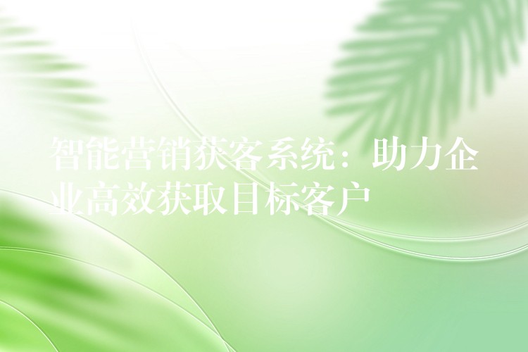 智能营销获客系统：助力企业高效获取目标客户