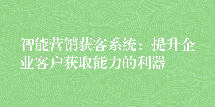 智能营销获客系统：提升企业客户获取能力的利器