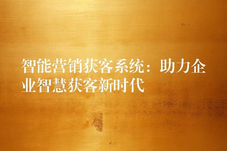 智能营销获客系统：助力企业智慧获客新时代