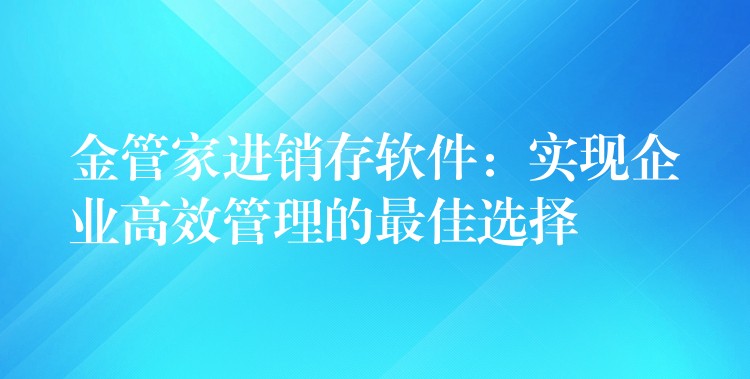 金管家进销存软件：实现企业高效管理的最佳选择