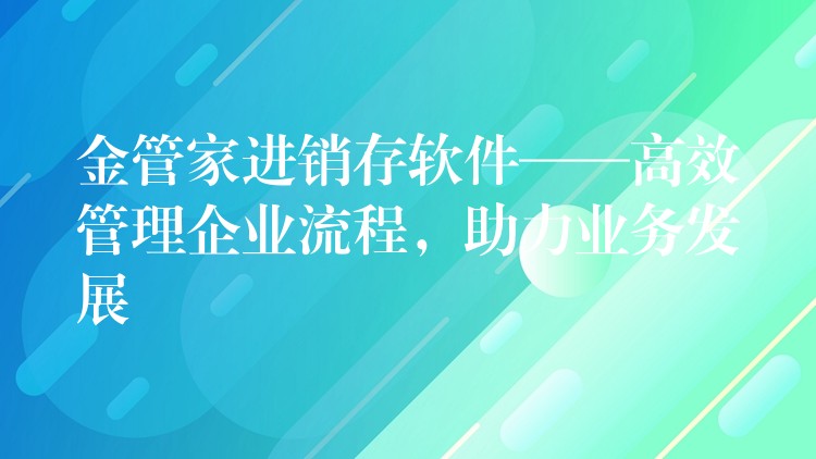 金管家进销存软件——高效管理企业流程，助力业务发展
