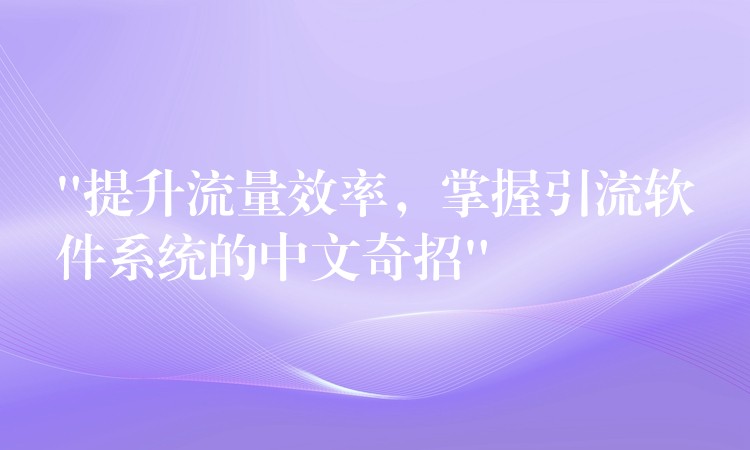 “提升流量效率，掌握引流软件系统的中文奇招”