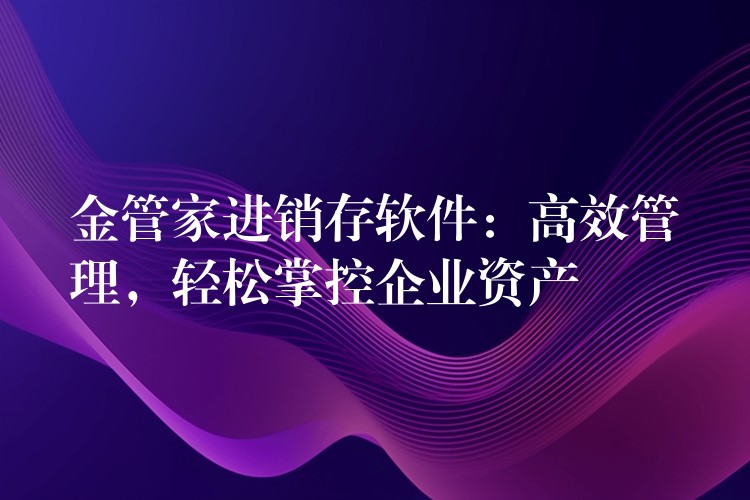 金管家进销存软件：高效管理，轻松掌控企业资产
