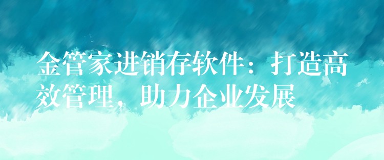 金管家进销存软件：打造高效管理，助力企业发展