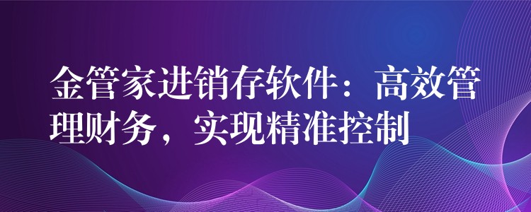 金管家进销存软件：高效管理财务，实现精准控制
